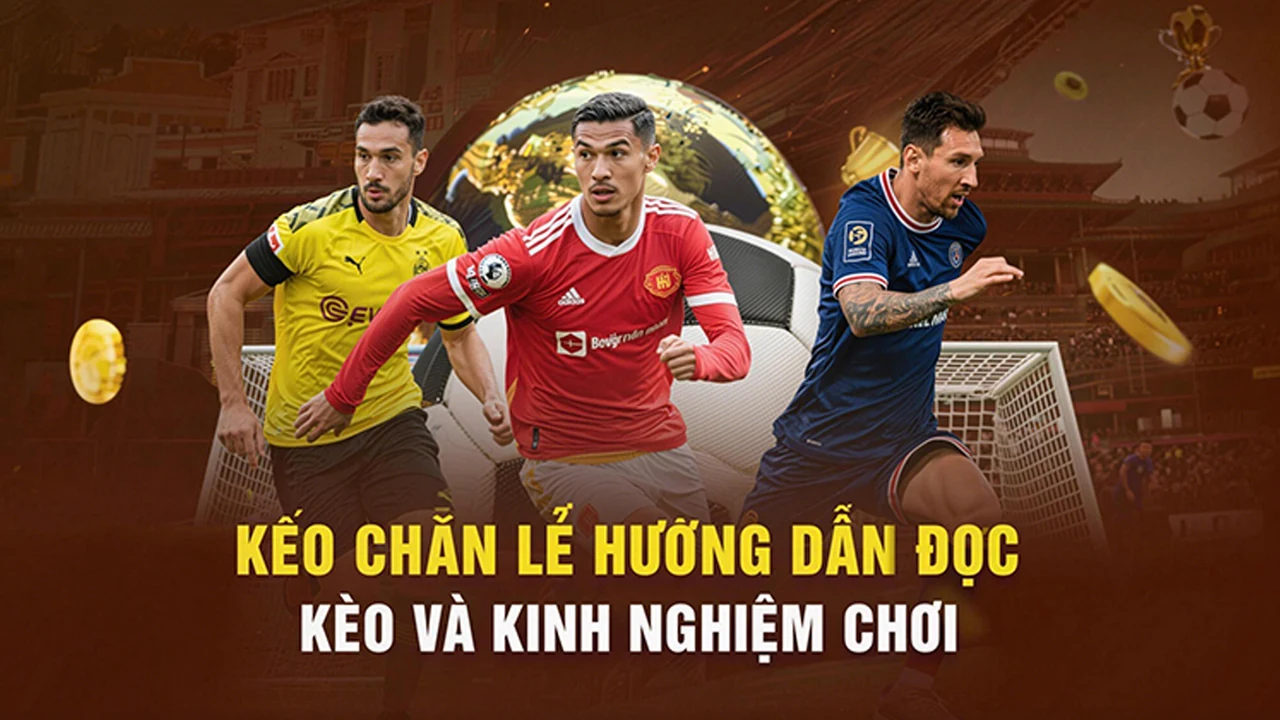 Slot: Hướng dẫn đối chiếu thông tin slot trên di động trên qua góc — KK8 — Hướng dẫn đọc thông tin theo từng tình huống